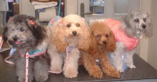 �t���[��